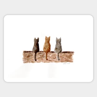 Three cats on the wall Sticker